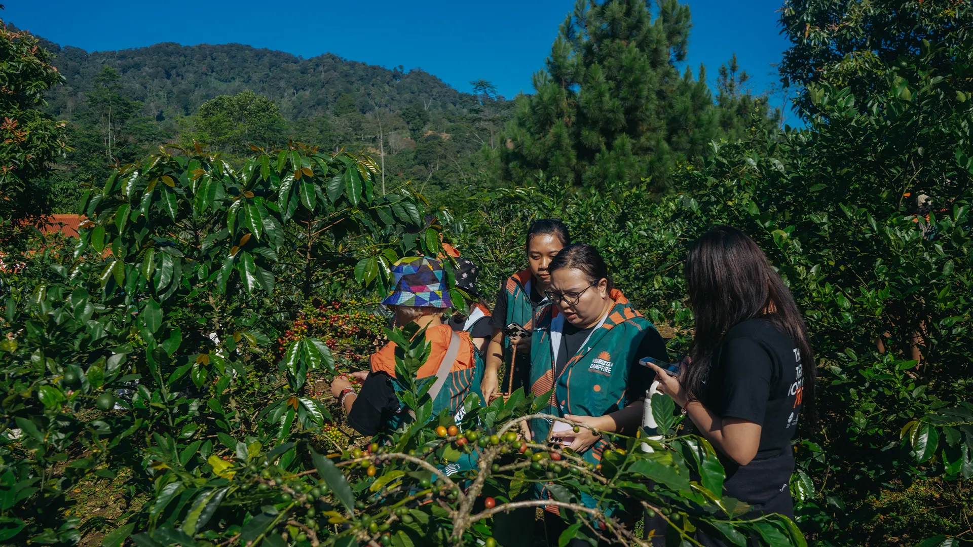 Kenapa Kopi dari Kebun Terasa Berbeda